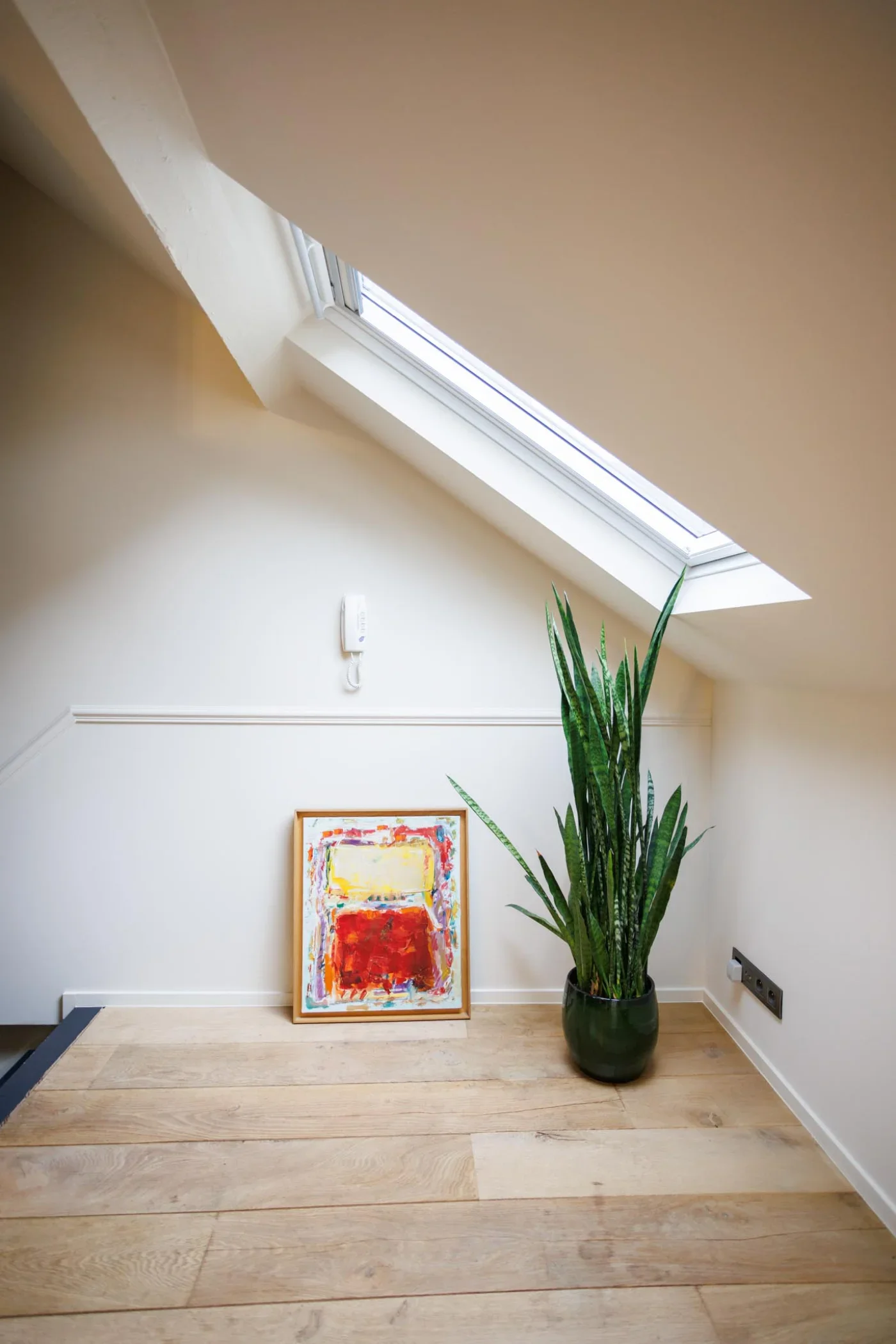 Loft-plant